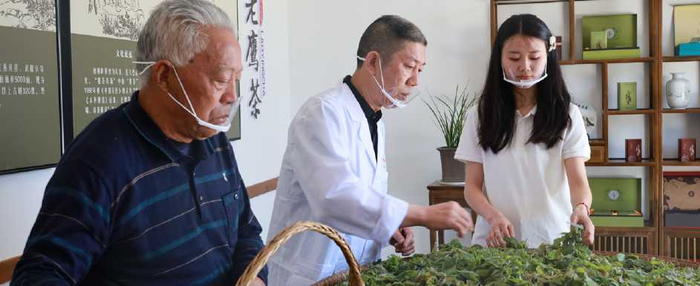  巫溪老鹰茶市级非遗传承人赵长平正在筛选优质鲜叶 