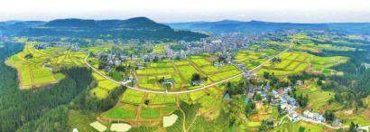 农发行四川省分行信贷支持的巴中市高标准农田建设项目。