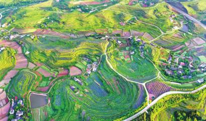 　　农发行四川省分行信贷支持的蓬安县美丽乡村土地综合整治建设项目。