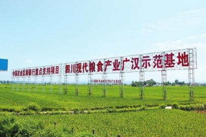 　　农发行四川省分行信贷支持的四川现代粮食产业广汉示范基地项目。