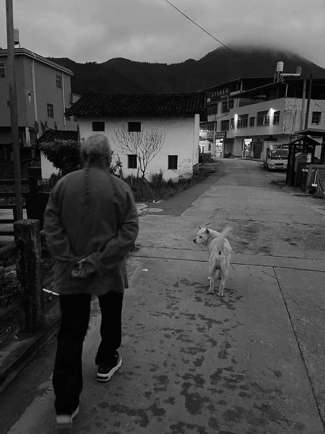 石虎与狗，黄昏时于山下村 2023年春夏间 澎湃新闻 图