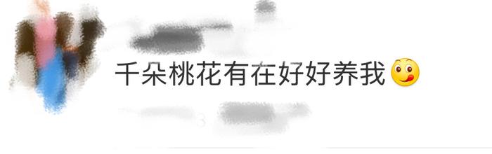 千朵桃花你是真带劲啊，本来以为故事过半，结果告诉我正片才刚刚开始…