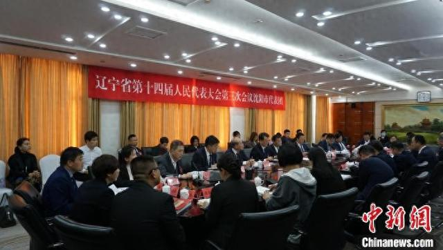 1月15日至18日，辽宁省两会召开。图为辽宁省第十四届人民代表大会第三次会议沈阳市代表团召开的小组会议现场。李晛 摄