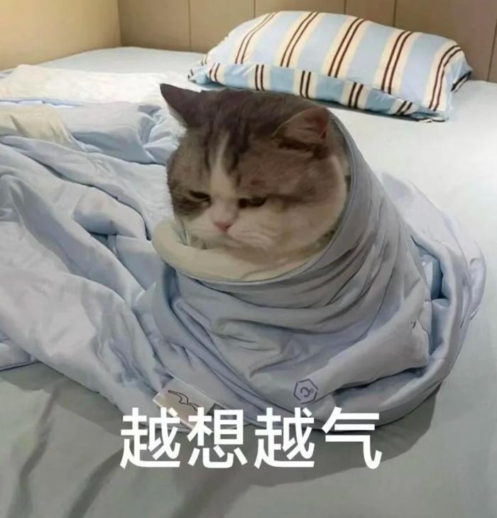 这事儿换谁不哭？