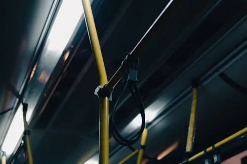 （图/Unsplash）