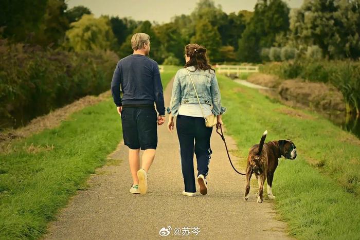 选择再婚，要先学会谈钱