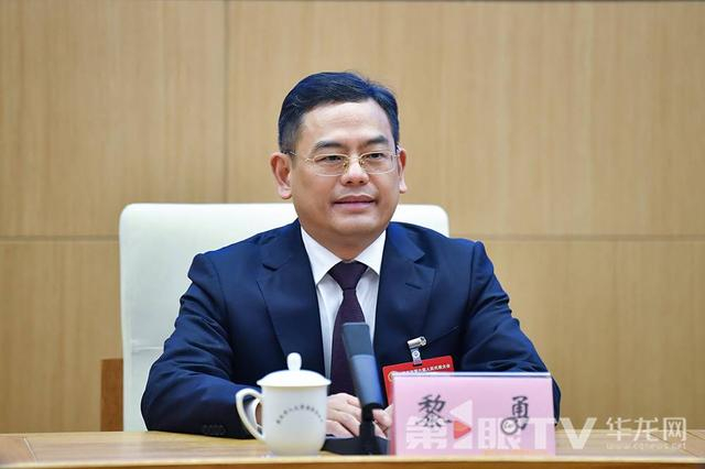 重庆市人大代表、涪陵区委书记黎勇。第1眼-华龙网 摄