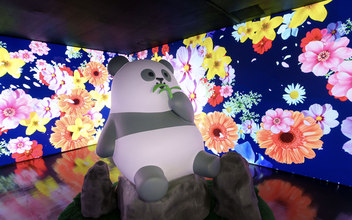 今年在港欢度农历新年的旅客，将在全城不同角落邂逅大熊猫。图/香港旅游发展局