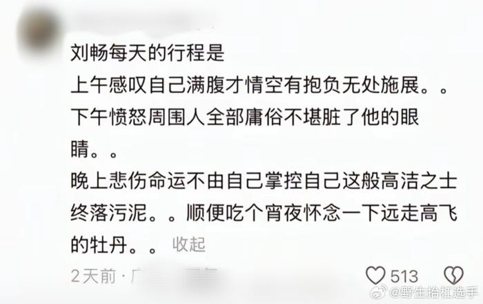 网友总结国色芳华刘畅的一日行程