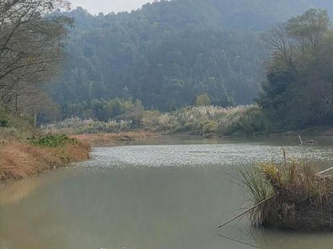 过年才知道，五十岁的70后，在慢慢退出以下“五个圈子”