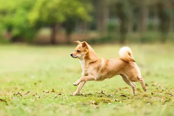 资料图/视觉中国