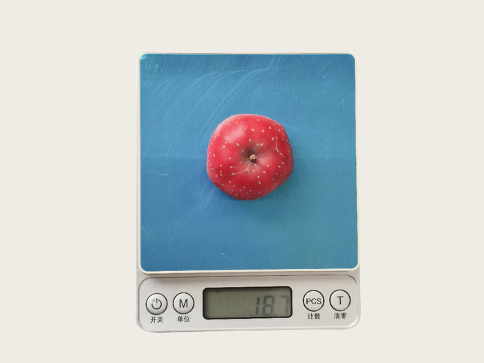 图：直径近 4cm 的山楂，约 18 克（自己拍的）