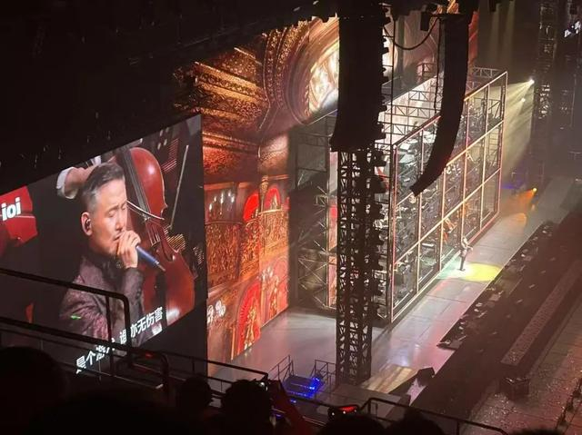 卢阿姨现场拍摄的张学友演唱会 受访者供图 