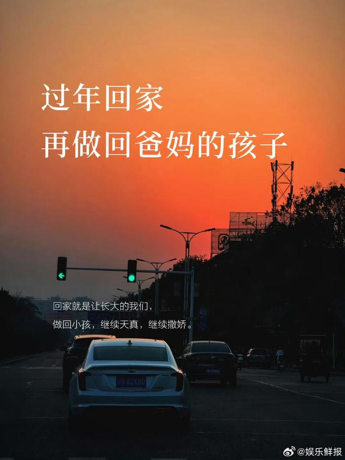 家是我们永远的港湾，每次踏上回家的旅途，便感觉浑身充满了力量，回家…