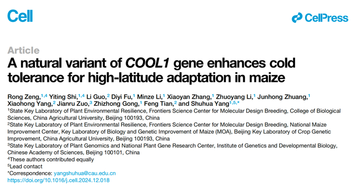 中国农业大学最新Cell:杨淑华团队破解玉米适应高纬度寒冷环境的分子机制|基因|论文|耐寒性|因子|调控_新浪新闻