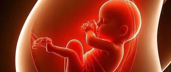 产后“隐形炸弹”：盆底疾病，妈妈们不可忽视的健康隐患！