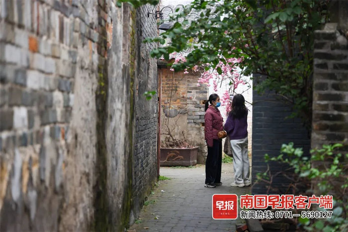 资料图：文澜巷中，游客寻找春意。广西云-南国早报记者 邹财麟 摄
