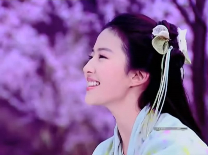 刘亦菲 饰 赵灵儿