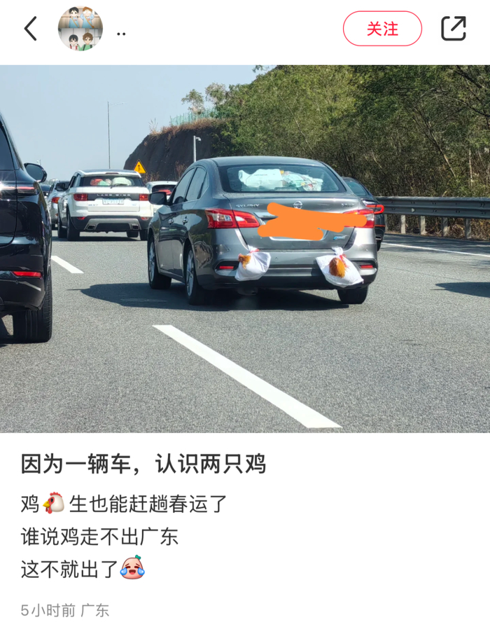 图源小红书用户“..”