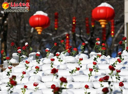 　　红山公园入口处的台阶上摆放的玫瑰，为雪后冬日增添了几分浪漫（1月25日摄）。资料图片