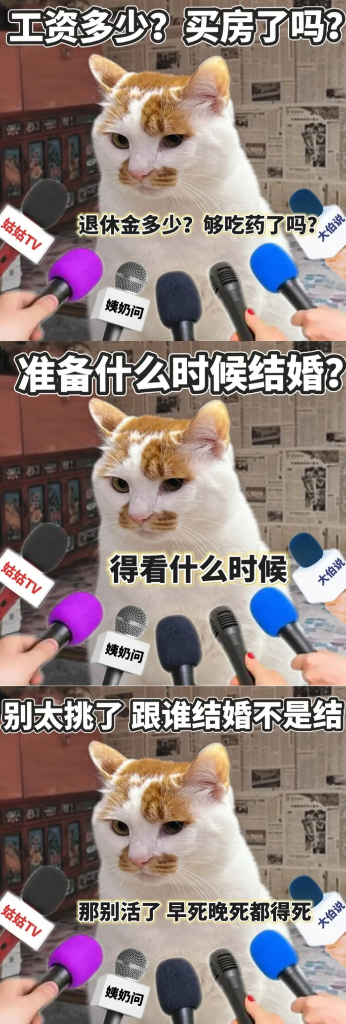 图源@奶泡味的臭咪