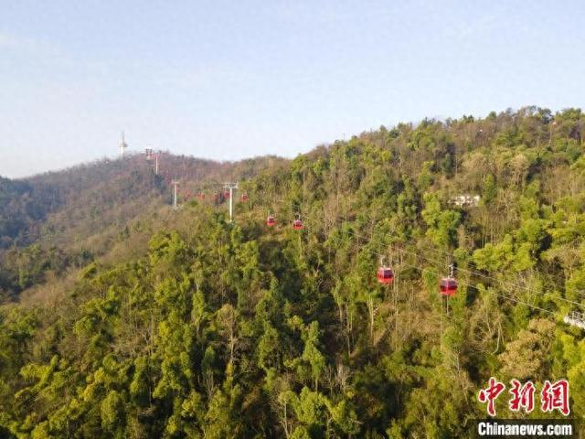 1月27日，长沙岳麓山新索道启动试运行。 湖南湘江新区供图