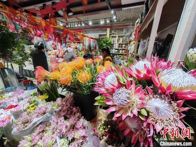 连日来，在位于乌鲁木齐市的明珠花卉市场，众多市民前来选购鲜花，年味浓郁。王小军 摄