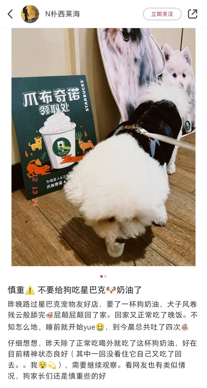 有一些宠物家长发文表示自家狗狗吃了后有呕吐的情况，呼吁主人要关注不同宠物的身体差异性。（图/社交媒体平台）