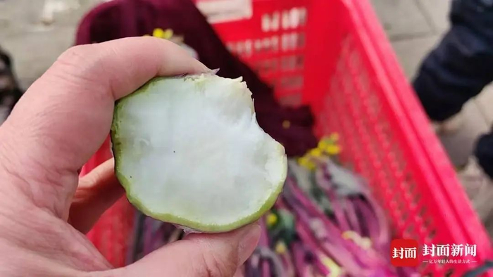 种植基地门外商贩销售的15元菜苔（石伟 摄影）