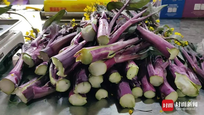 599元标准的菜薹（石伟 摄影）