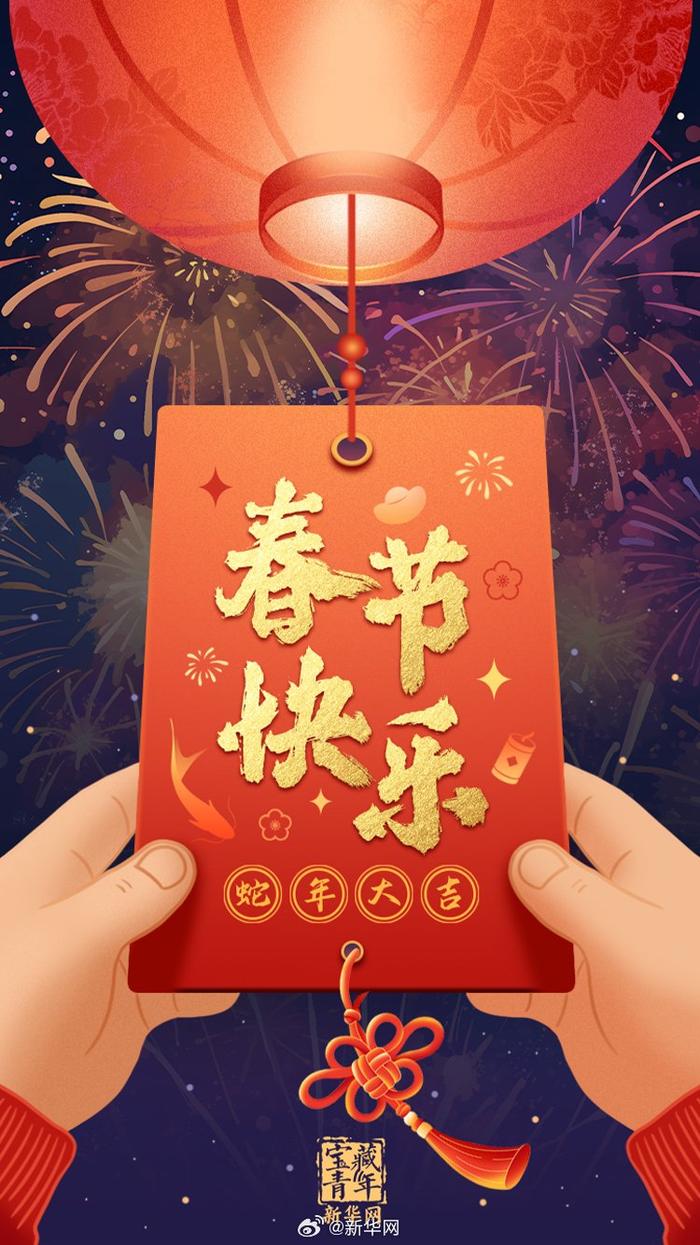 金蛇送福巳巳如意