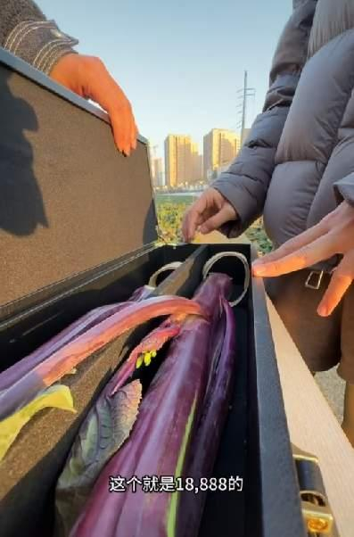 网友探访时见到的“菜薹王”