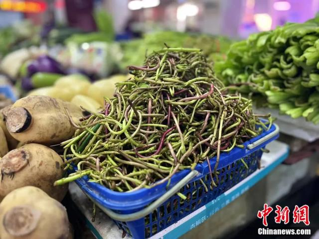 图为野生藜蒿。袁汝晶 摄