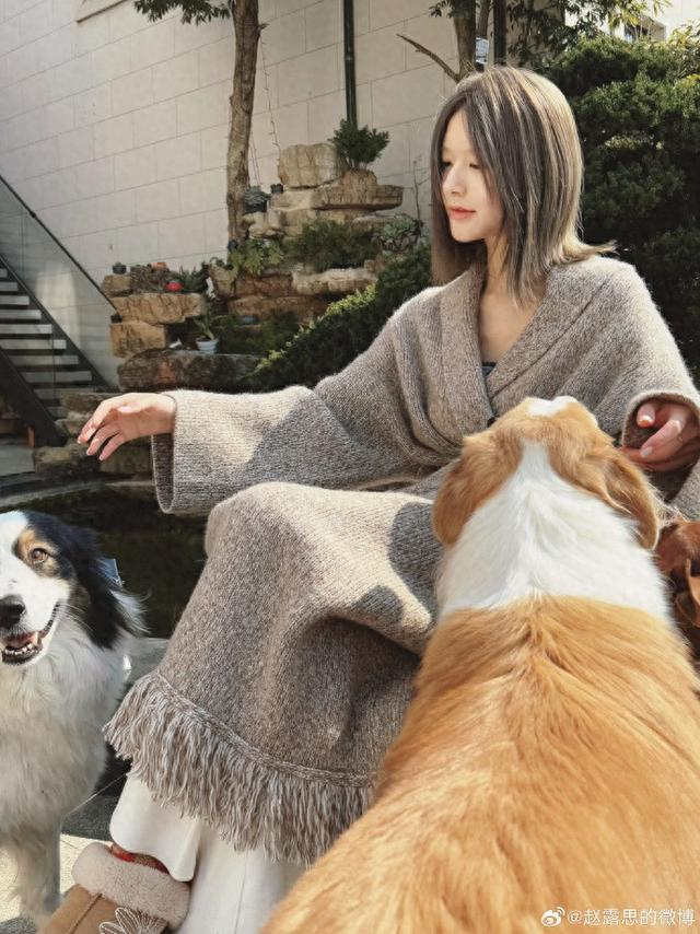 图片转自微博@赵露思的微博 