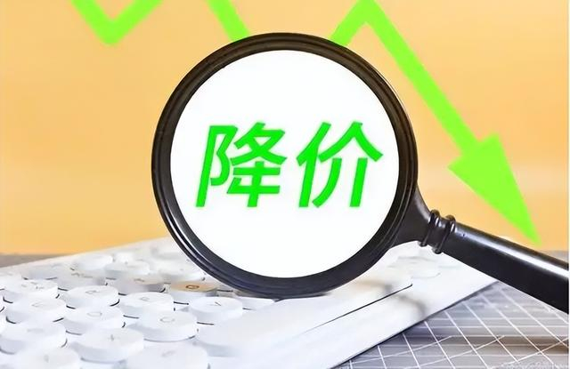 2025年起中国或将迎四大降价潮：除房价外，这三类也准备降价了？|房价_新浪新闻