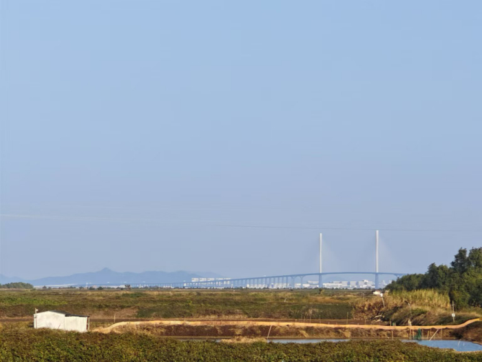 从赤溪东远眺黄茅海跨海通道 吴少龙/摄