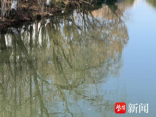 薄云峰 摄