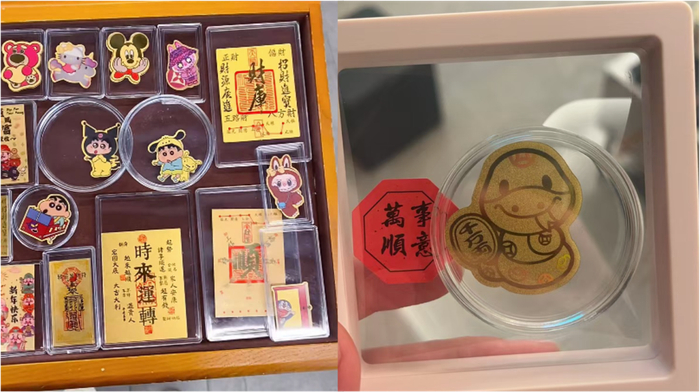 图源 / 张阳供图