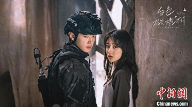 《白色橄榄树》热播。片方供图