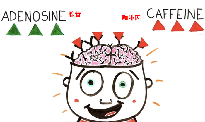 图片来源：foodrepublic