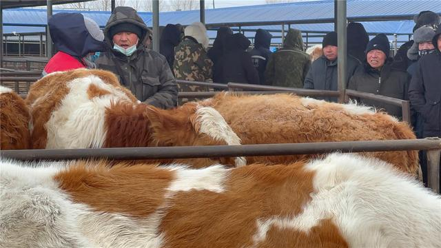 正在交易的客商。尹蒙 摄