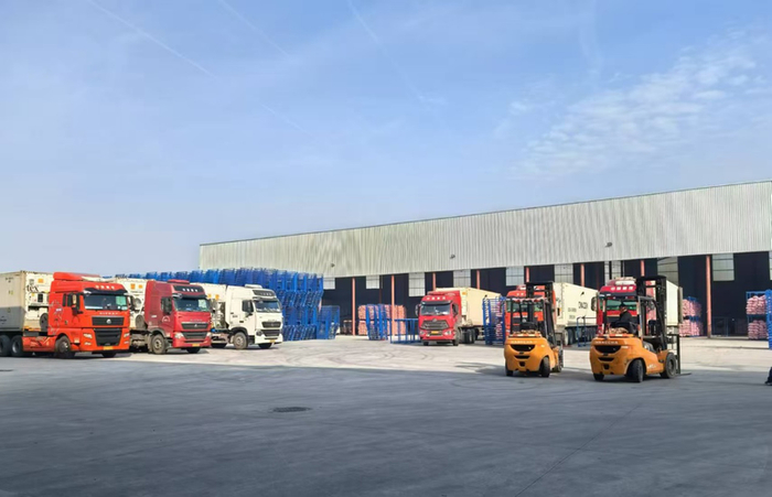 来自杞县苏木乡的大蒜，正准备发往全国以及世界各地。受访者供图