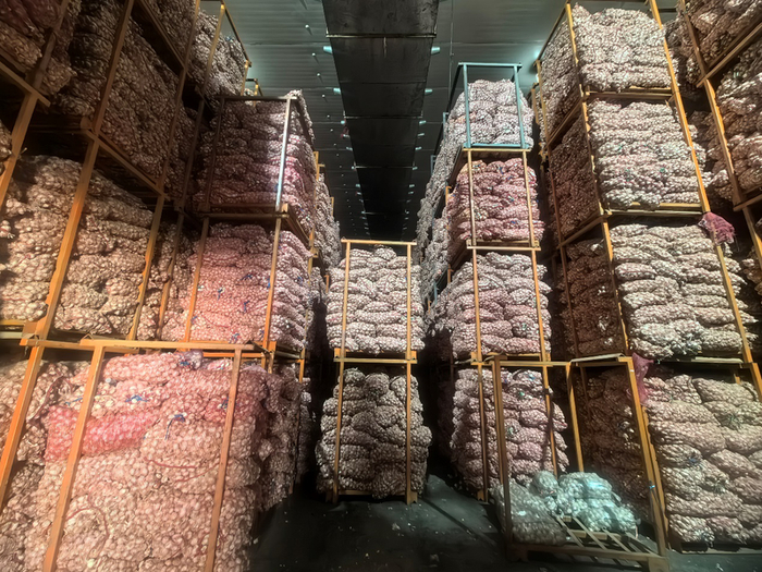 杞县大蒜国际交易市场内，某冷库储存的大蒜，待发往全国以及世界各地。段文平/摄