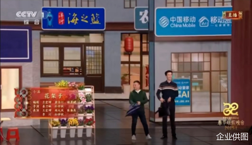 △2025年小品《花架子》