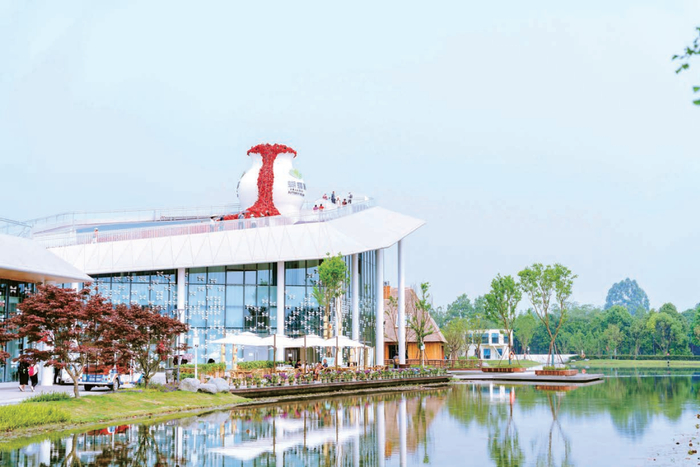 ▲汉姜村“蝴蝶村”蝶语馆