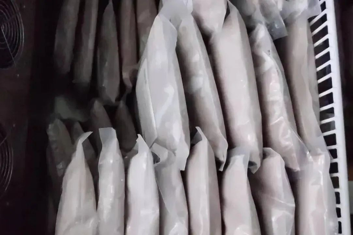 图片来源：网络