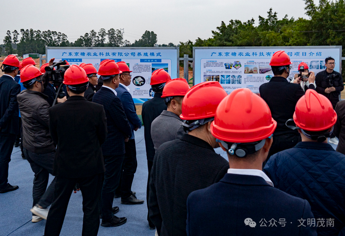 考察京塘农业罗非鱼全产业链项目建设情况。