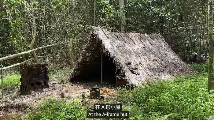 一顿操作猛如虎，一看收获一钱五…