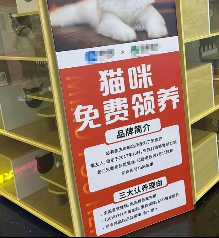 活体交易变成了一场融资游戏/图源：网络