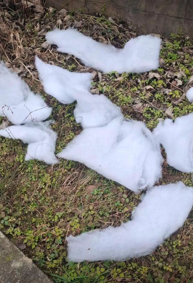 游客实拍图。 图源：我是一条鱼